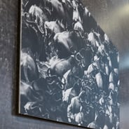 Mounting on panels made easy with Gudy-1