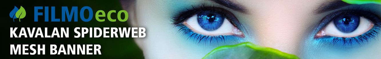 spiderweb mesh banner